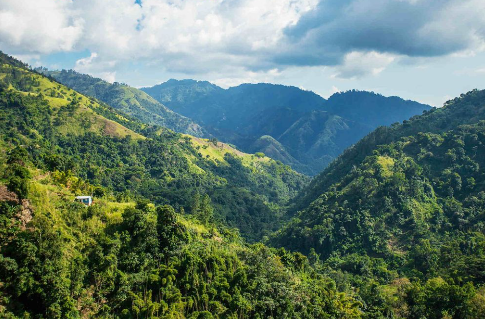 Blue Mountains, Eastern Jamaica, Jamaica